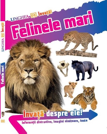 ÎNVAȚĂ! Felinele mari