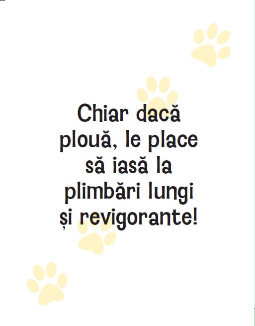 De ce crede câinele tău că eşti un erou, ed. I