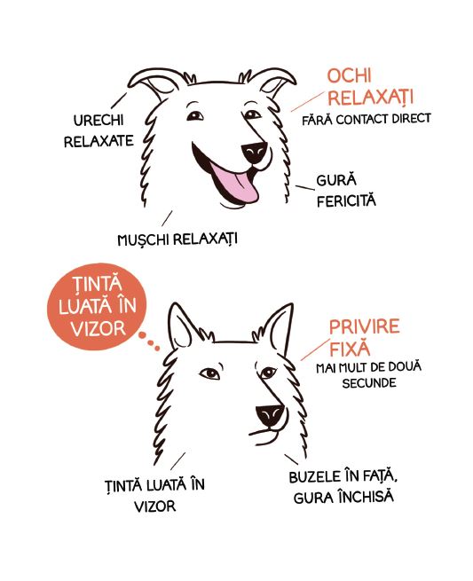 Limbajul cățeilor