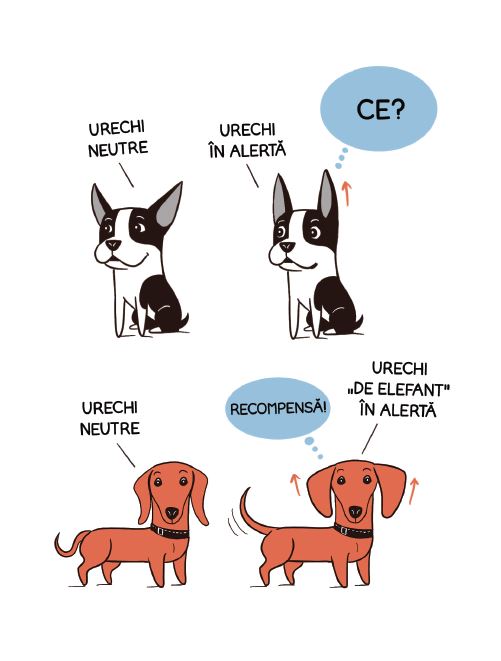 Limbajul cățeilor, ed. II