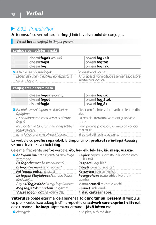 Gramatica limbii maghiare contemporane