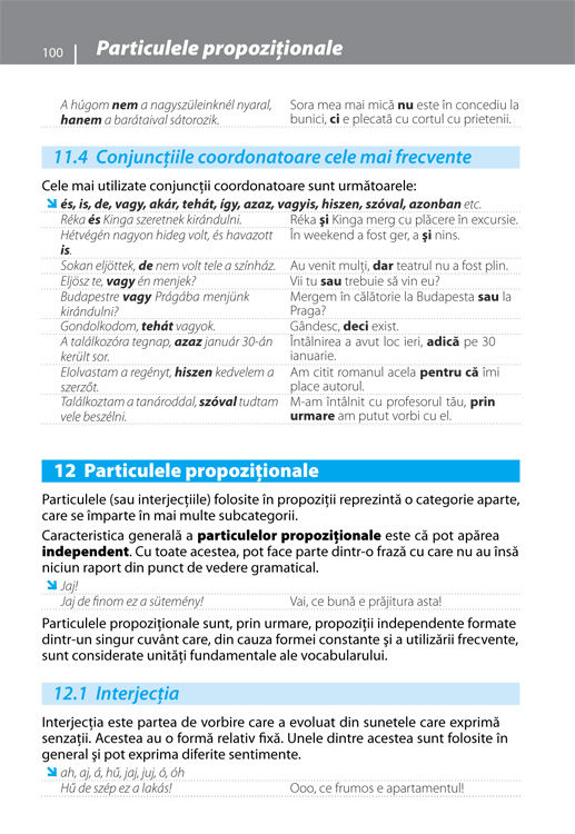 Gramatica limbii maghiare contemporane